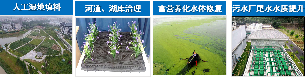 1728984582241529.png image.png