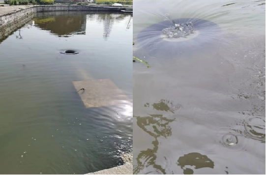 1729058126697505.png 图片9.png