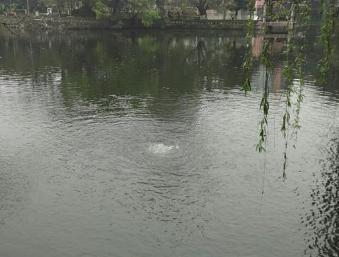 1729063314497180.png image.png