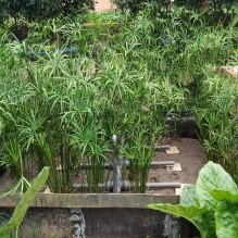 1732691358387324.png 1 (2).png